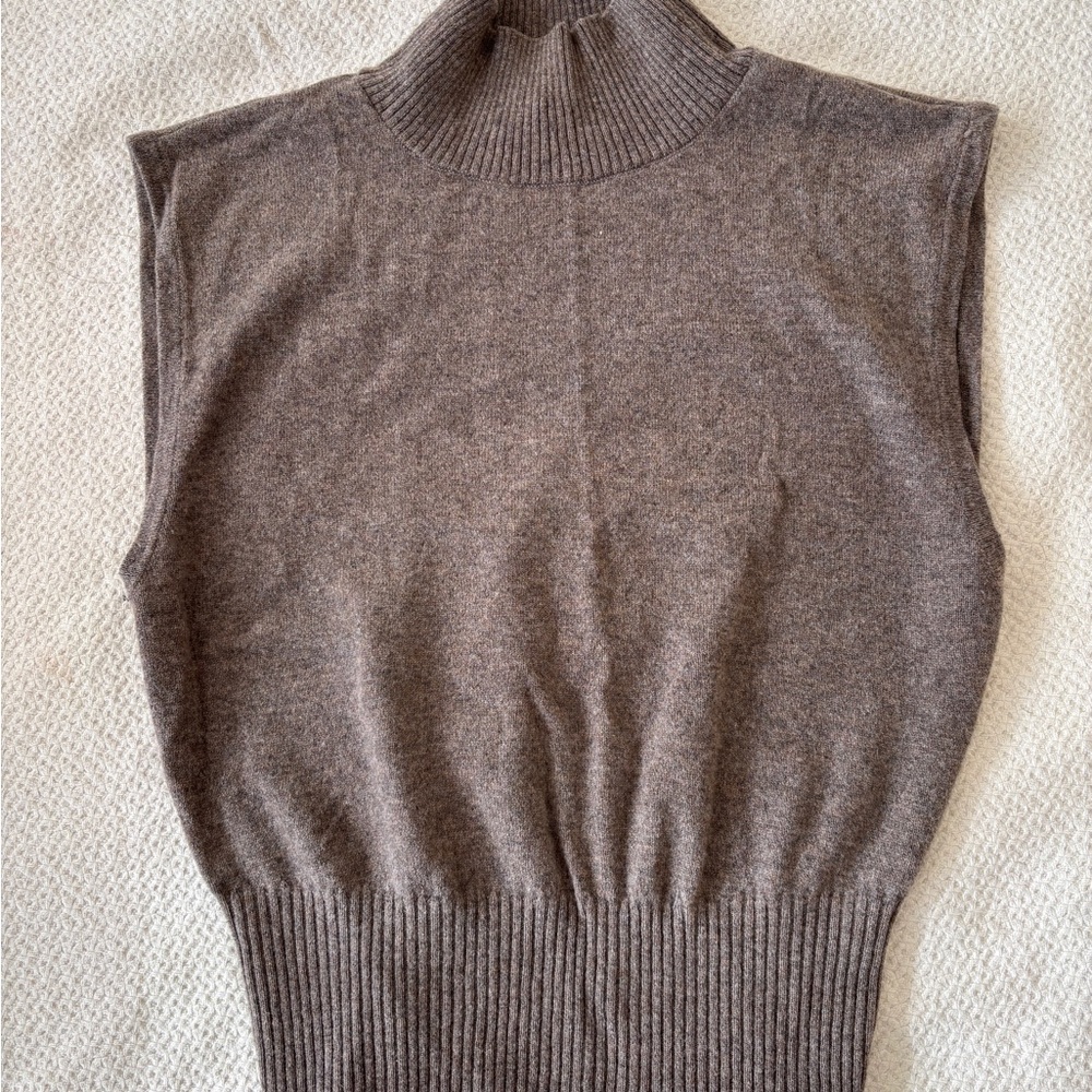 Reformation Brown Sleeveless Turtleneck Sweater